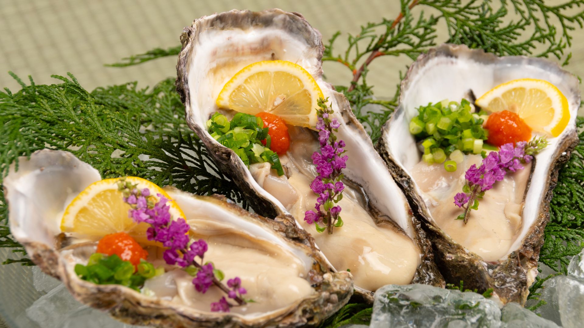 糸島産の新鮮な牡蠣を美しく盛り付けた料理写真